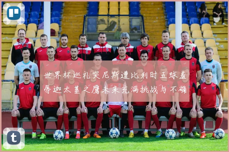 世界杯巡礼突尼斯遭比利时五球羞辱迦太基之鹰未来充满挑战与不确定性